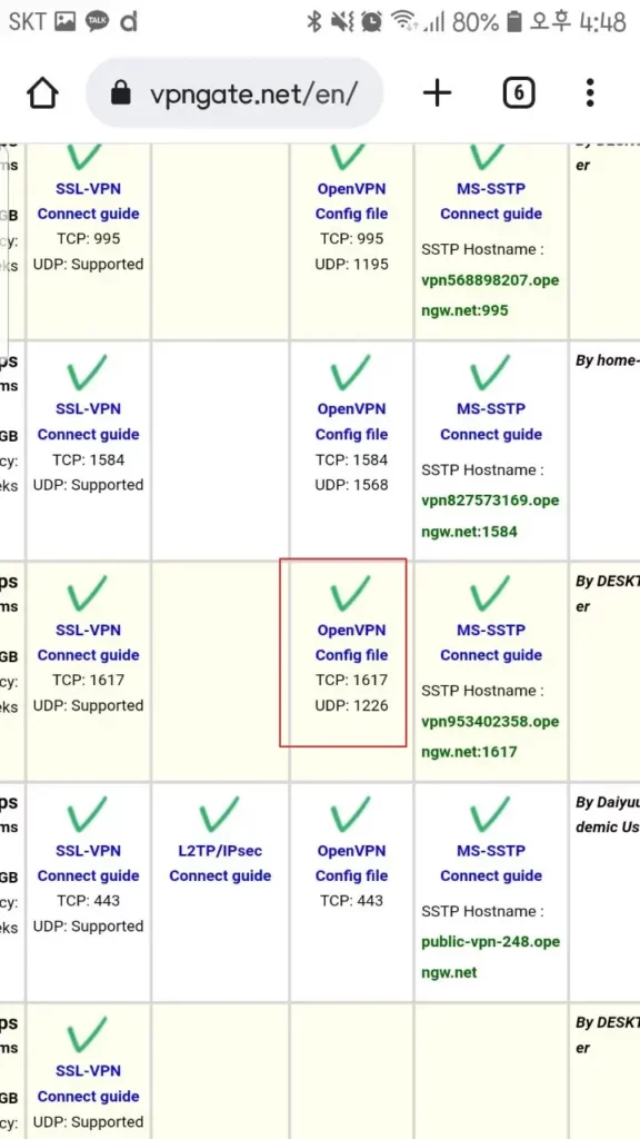 vpngate.net openvpn